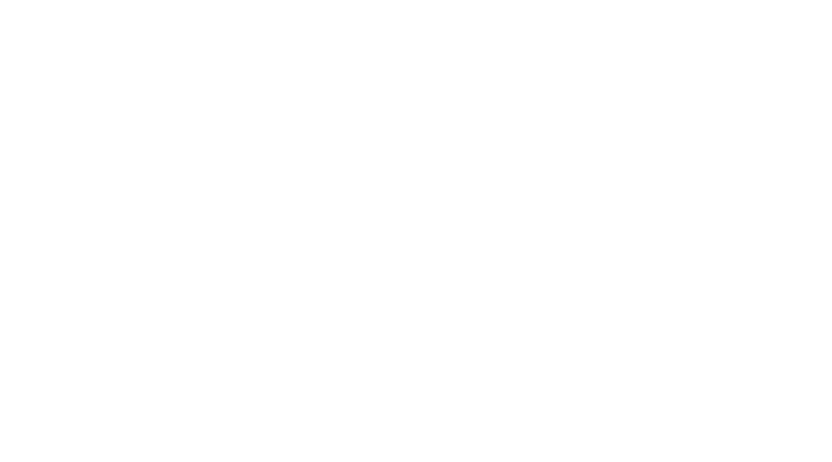 Wente Verzekeringen